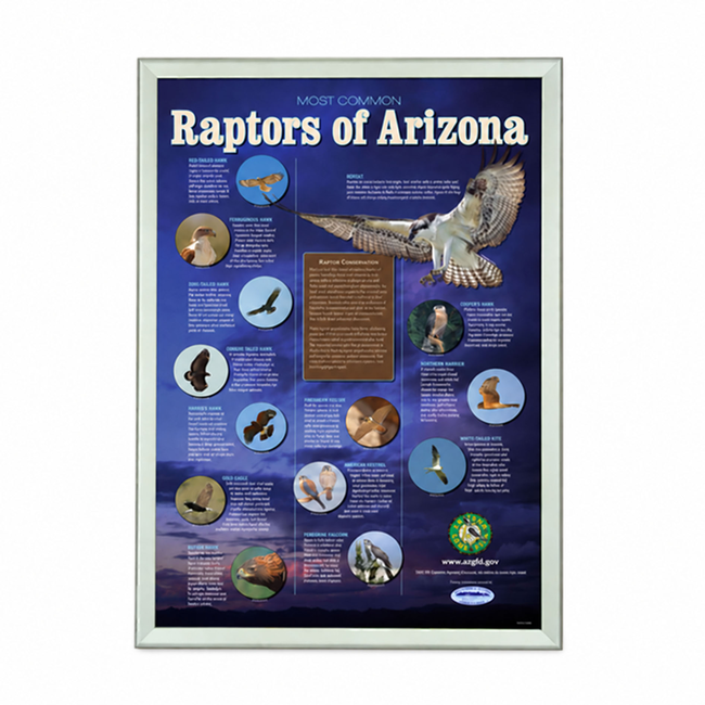Silver A0 Combo Snap Frame with Clip 