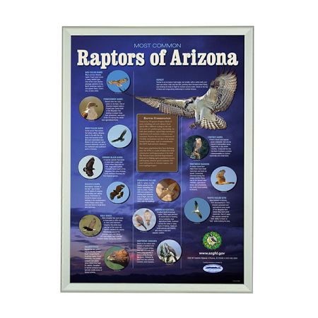 Silver A0 Combo Snap Frame with Clip 