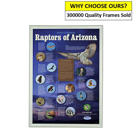 A0 Silver Snap Frame – Poster Display 32mm Profile