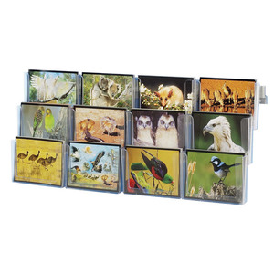 Wall Brochure Holder Combo holds 12 Landscape Postcards