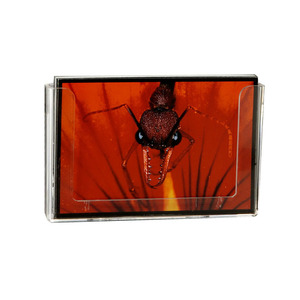 Horizontal Clipback Postcard Holder Expandastand