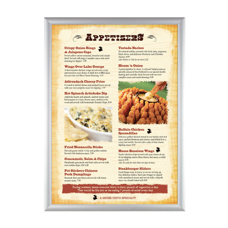 Silver A3 Combo Snap Frame