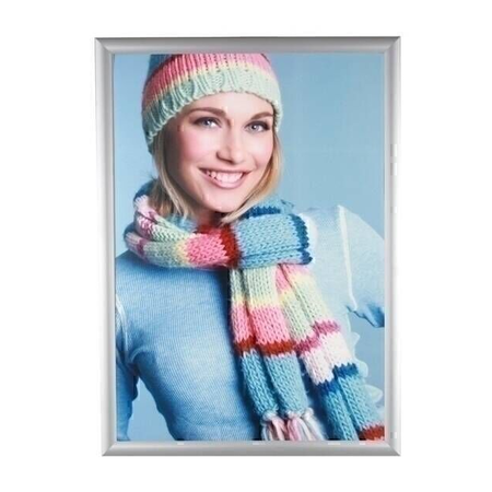 Silver A4 Combo Snap Frame - Includes Pole Clips